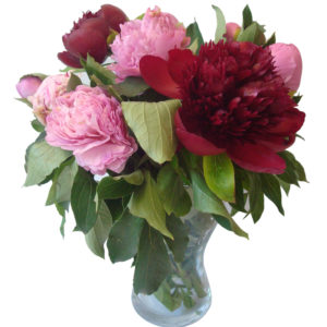 bouquet pivoines