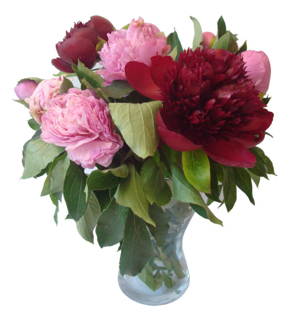 bouquet pivoines