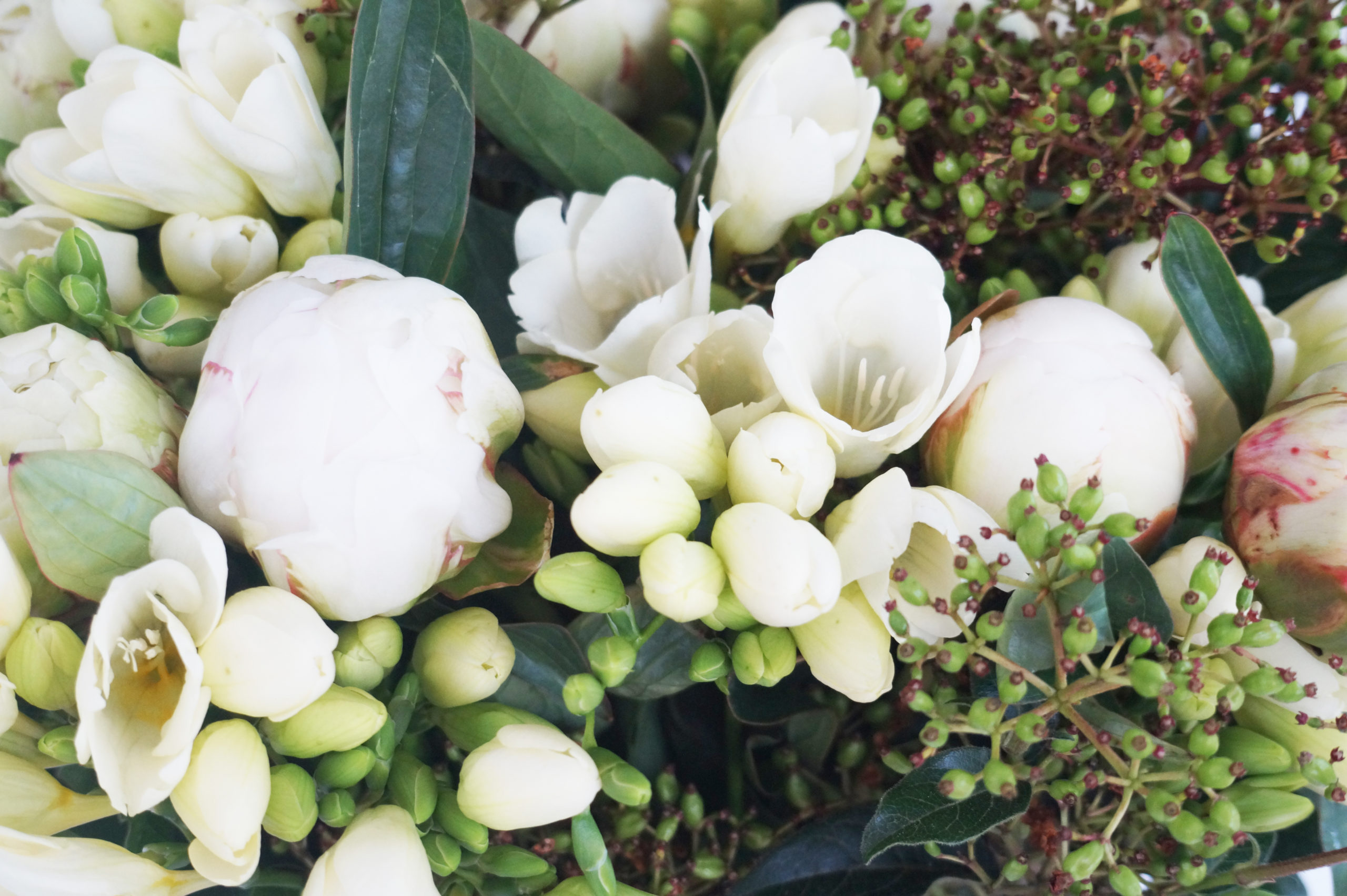 Bouquet freesia et pivoines - La Jardinera