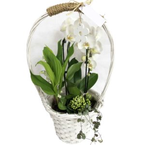 panier de muguet et plantes diverses