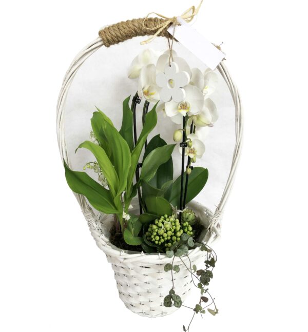 panier de muguet et plantes diverses