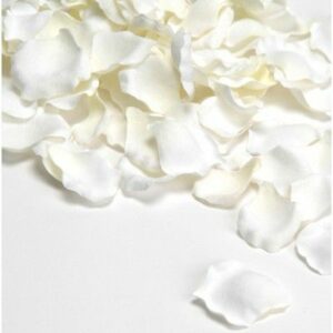 pétales de roses blanches