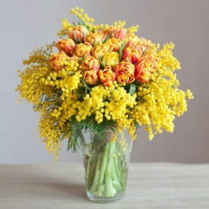 bouquet de mimosa et tulipes