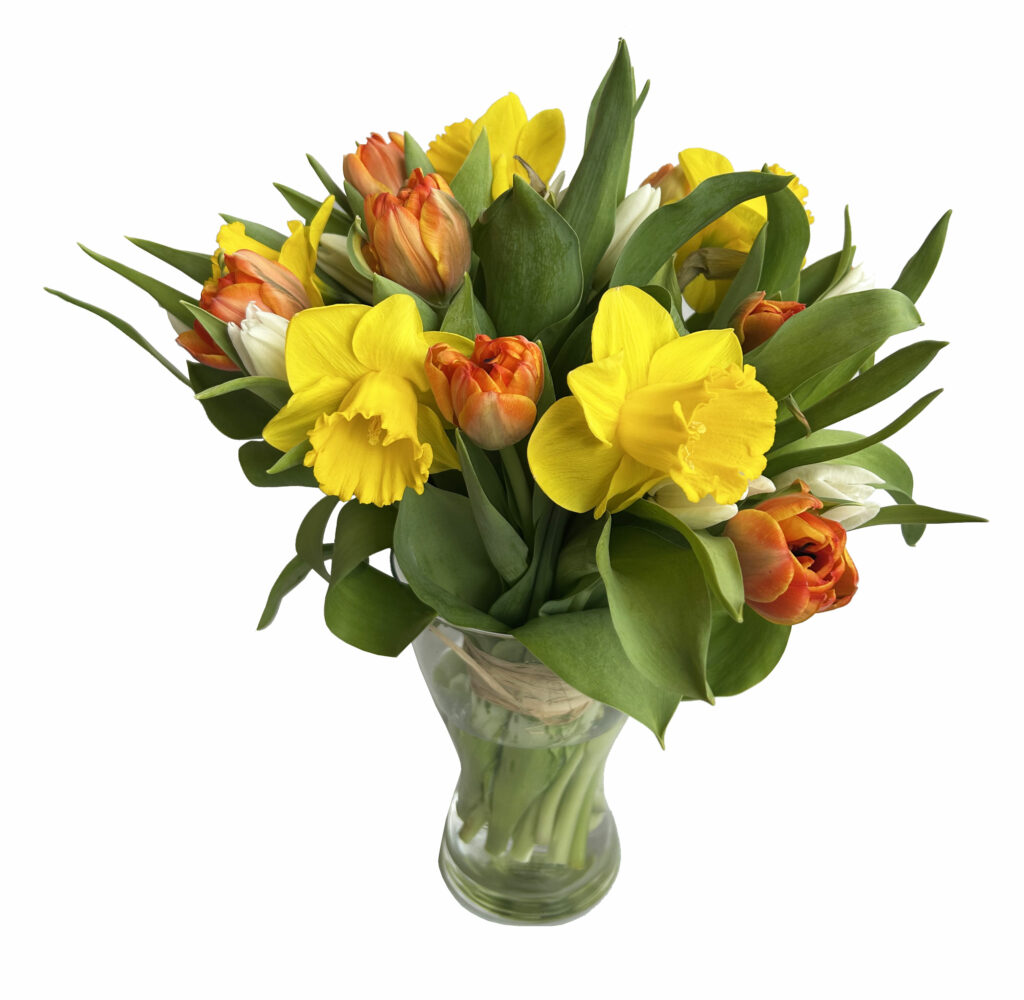 bouquet de jonquilles et tulipes