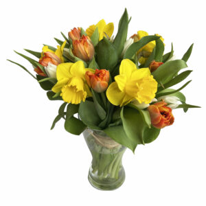 bouquet de jonquilles et tulipes