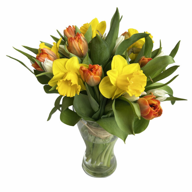 bouquet de jonquilles et tulipes